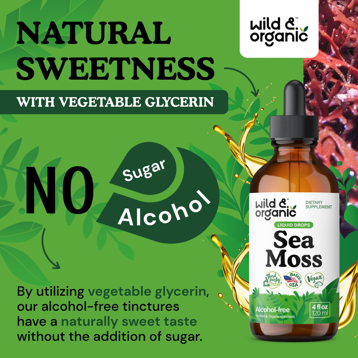 Wild & Organic Sea Moss Drops - Overall Support with Irish Seamoss and Bladderwrack - Multimineral Chondrus Crispus Tincture - Vegan, Sugar & Alcohol-Free Liquid Supplement - 4 fl oz