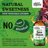 Wild & Organic Sea Moss Drops - Overall Support with Irish Seamoss and Bladderwrack - Multimineral Chondrus Crispus Tincture - Vegan, Sugar & Alcohol-Free Liquid Supplement - 4 fl oz