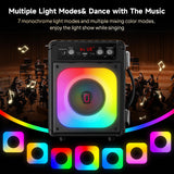 HWWR Karaoke Machine with 2 Mics for Adults & Kids, Stage Subwoofers Set