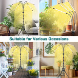 Grow Lights for Indoor Plants Yellow Light with 15-63 inches Adjustable Tripod Stand Plant Light with 4/8/12H Timer with Remote Control