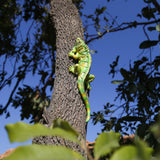 SHAODIE Garden Lizard Statue Simulation Lizard Statue Decorative Resin Animal Sculpture Outdoor Garden Yard Lawn Art Deco Gift 10.24 inch Hand Painted