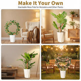 28'' Bendable Moss Poles & 12'' Stackable Coir Plant Sticks for Monstera
