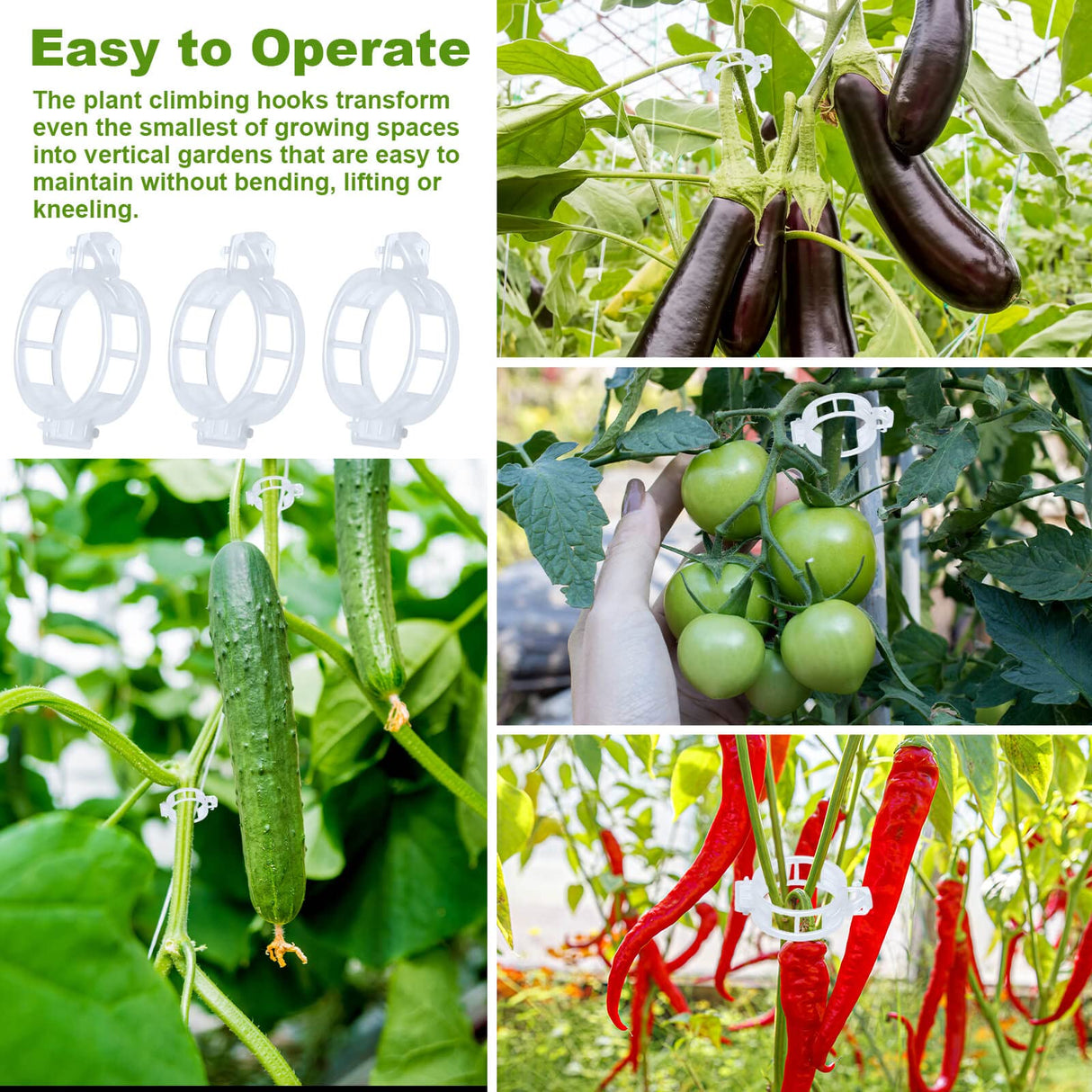 HFXXAD 60Pcs Tomato Hooks with String, Tomato Support Hooks, Tomato Holder Hooks & Plant Support Clips with 33.3ft Twine to Prevent Tomatoes from Pinching or Falling Off
