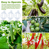 HFXXAD 60Pcs Tomato Hooks with String, Tomato Support Hooks, Tomato Holder Hooks & Plant Support Clips with 33.3ft Twine to Prevent Tomatoes from Pinching or Falling Off
