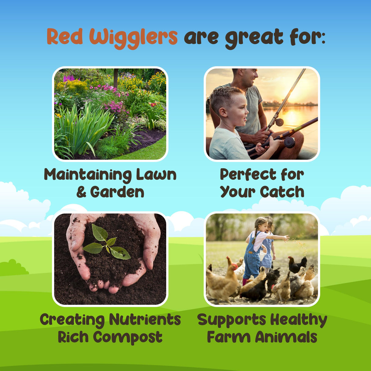 WWJD Worms Red Wigglers Composting Worms - 1/8lb - Easy to Manage Red Worms for Composting - Use for Worm Castings for Plants, Garden, Worm Farm, Vermicompost Bin & Compost Starter