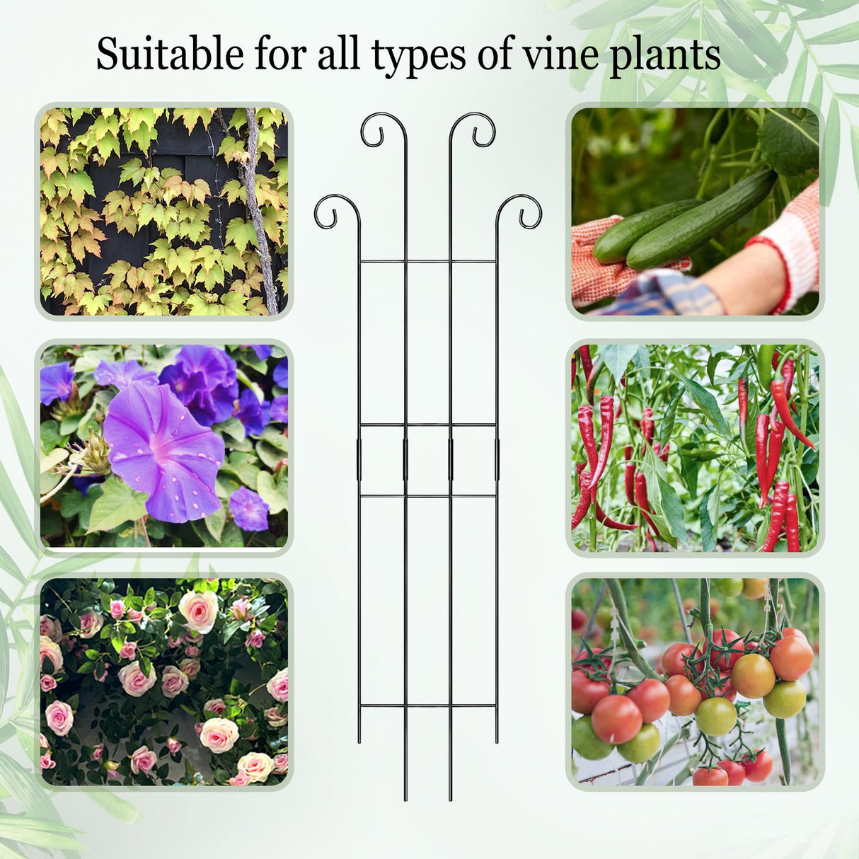 3 Set Tall Trellis for Potted Plants Indoor, 32'' Expandable Garden Metal Trellis for Climbing Plants Outdoor, Monstera Plant Support for Hoya, Vine, Ivy Pothos (Black)