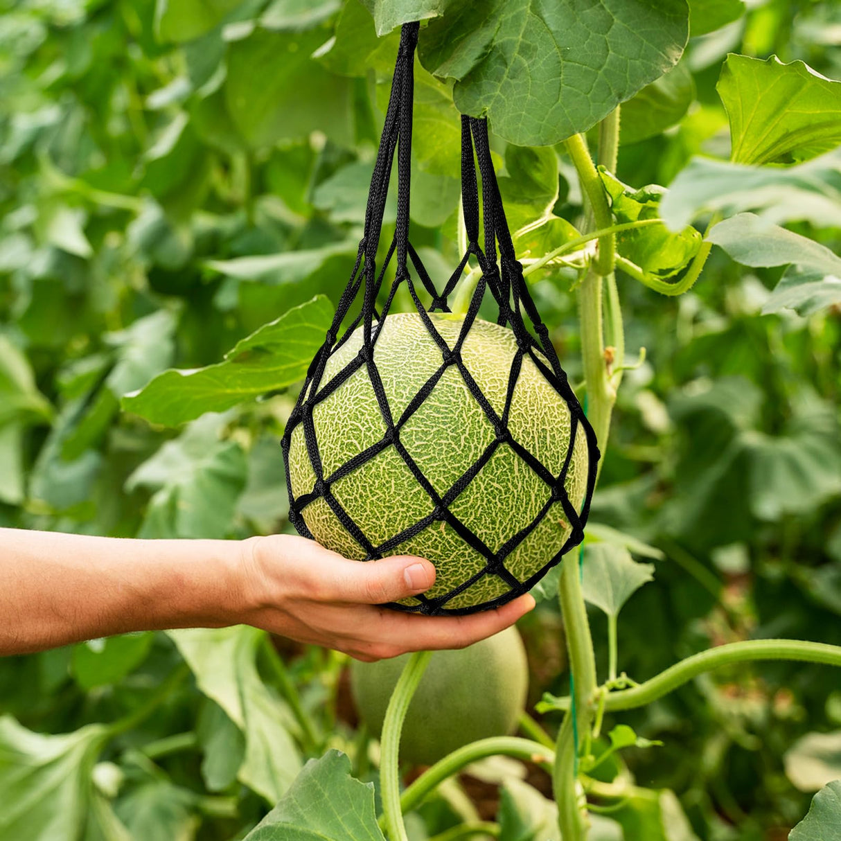 12 Pack Melon Hammock Watermelon Nets with S Hanging Hooks, Melon Cradle for Garden to Prevent Falling, Heavy Duty Watermelon Mesh Bag for Growing Cantaloupe Pumpkin in Vertical Garden (Black)