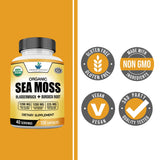 American Standard Supplements Organic Sea Moss, Bladderwrack & Burdock Root Capsules - 1200mg Sea Moss, 1200mg Bladderwrack, 225mg Burdock Root Per Serving - 120 Capsules, 40 Servings