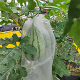 Belit 10Pcs 23.6"x15.7" Garden Netting pest Barrier Tomatoes Protection Bags Large Size Nylon Mesh Reusable Fruit Bags for Protecting Fruits Vegetables