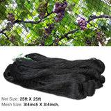 OGORI 25' x 25' Bird Netting Heavy Duty Nylon 3/4" Mesh Garden Netting Protect Fruit Trees, Plants and Vegetables