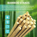 Latuxe Bamboo Stakes 6FT, 20pcs Garden Stakes 72in Specifically Designed for Climbing Plants, Ideal for Tomatoes, Beans, Cucumbers, Peppers, Vines, and More Plant Growth