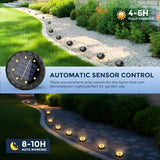 SOLPEX Mini Solar Ground Lights, 12 Pack Pathway Solar Lights Outdoor Waterproof, Garden Lights for Driveway Walkway Yard Landscape (Warm White)