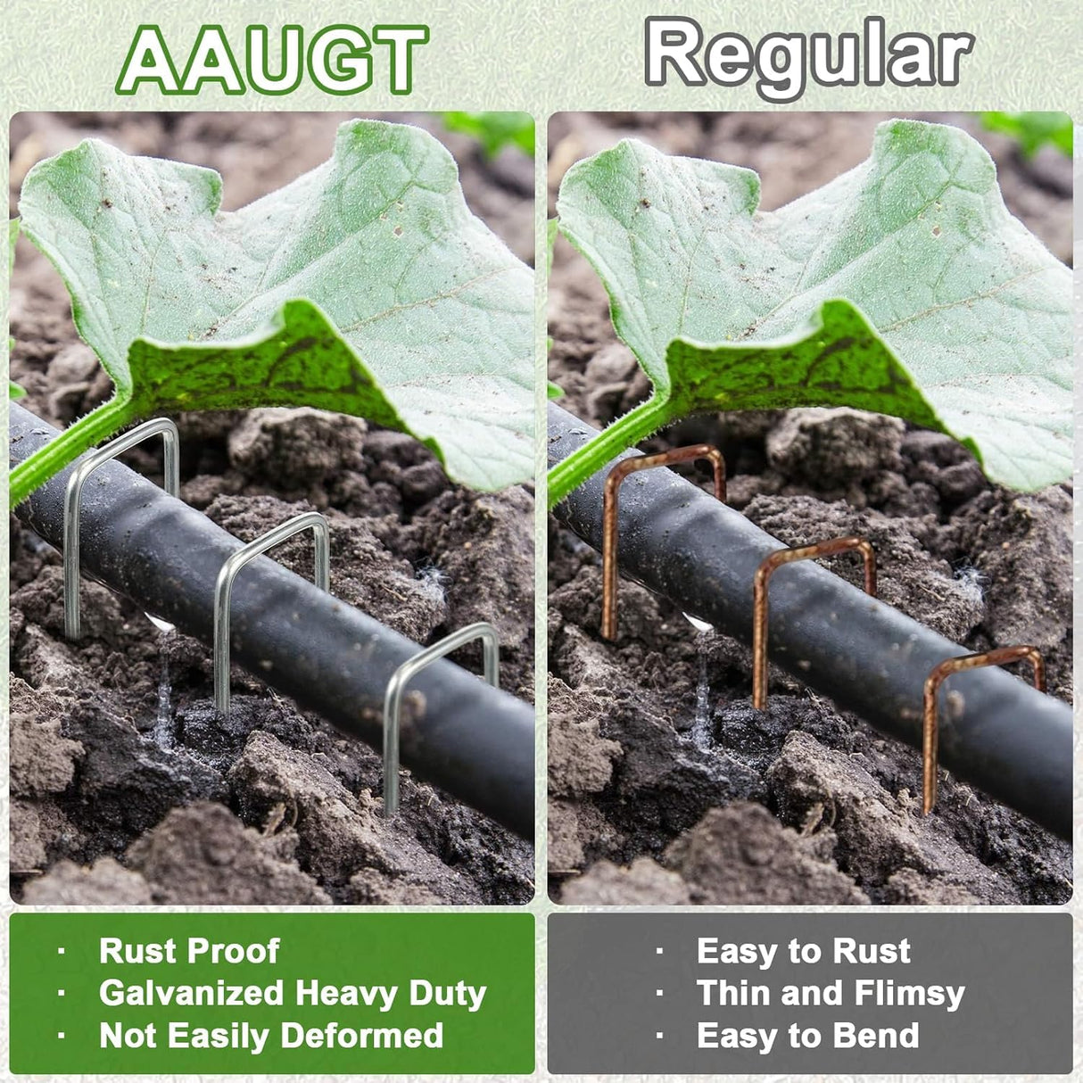 AAGUT Landscape Staples 8 Inch Galvanized Anti-Rust Garden Stakes 11 Gauge