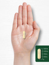 Carlyle Soy Isoflavones for Women and Men 1500mg | 200 Capsules | Non-GMO, Gluten Free Extract Supplement