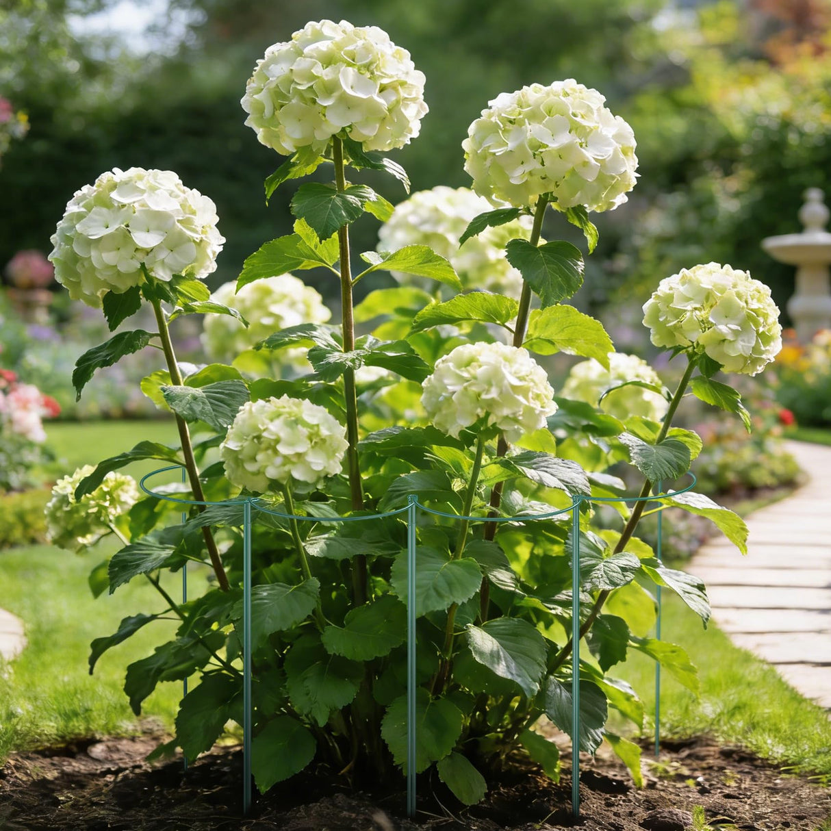Unves 10 Pack Peony Cages and Supports, 13" W x 32" H Plant Support Stakes