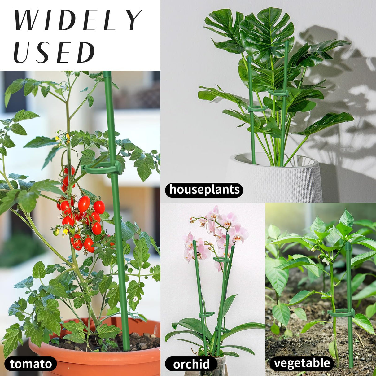 Catephe 40 Pcs Plant Support Stakes, Garden Stakes for Indoor Plants, Tall Adjustable Plant Sticks with 40 Clips and 20 Connectors for Monstera, Tomato, Vine Potted Plants
