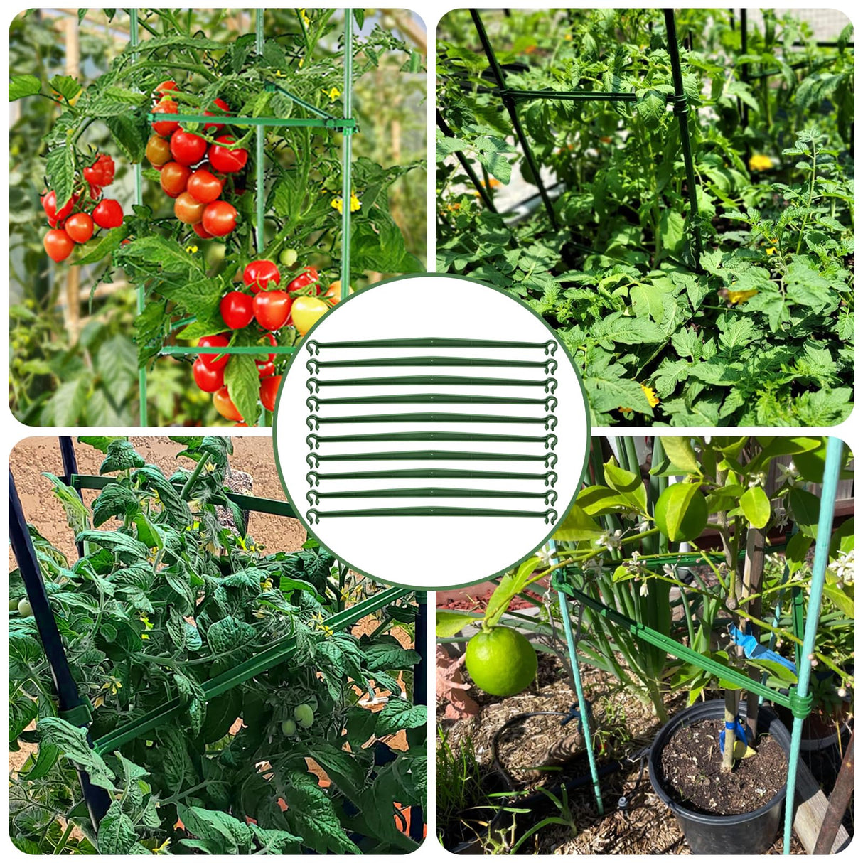 Coloch 100 Pcs Plant Stake Arms for Tomato Cage, 11.8” Expandable Plant Supports Trellis Connector with 2 Buckles for 11mm Diameter Plant Stake, for Climbing Plants, Tomato, Vegetable, Indoor&Outdoor