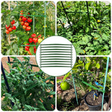 Coloch 100 Pcs Plant Stake Arms for Tomato Cage, 11.8” Expandable Plant Supports Trellis Connector with 2 Buckles for 11mm Diameter Plant Stake, for Climbing Plants, Tomato, Vegetable, Indoor&Outdoor
