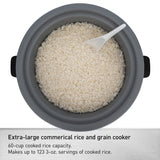 Panasonic Commercial Electric Rice Cooker, 120V Extra-Large Capacity 60-Cup (Cooked), 30-Cup (Uncooked) with One-Touch Operation - SR-GA541FH - Silver