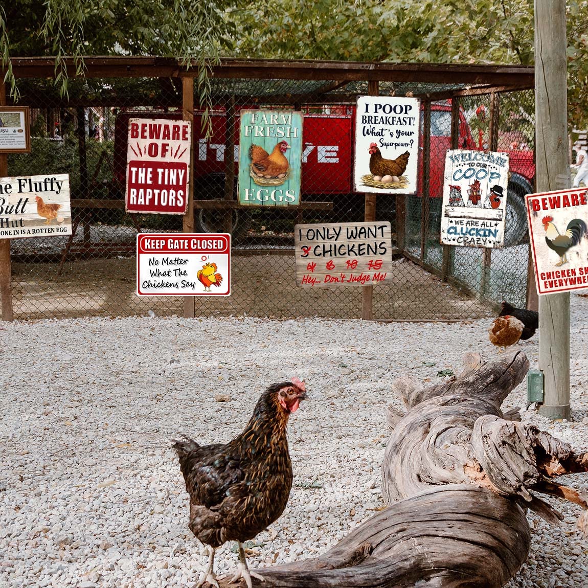 8 Pack Chicken Coop Accessories, Funny Chicken Coop Metal Signs Outdoor Decor Chickens Farm Personalized Tin Sign Chicken Gifts For Lovers House Decor 8×12 Inch