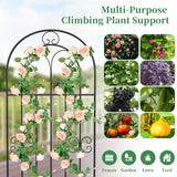 2 Pack 78.7" x 19.6" Iron Arch Decoration Garden Trellis, Metal Climbing Plant Trellis for Heavy Vines, Roses, Flowers, and Vegetables, Perfect for Gardens, Lawns.