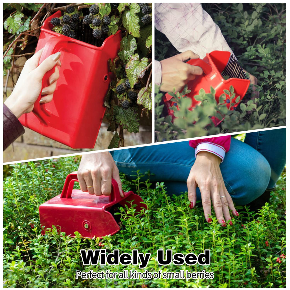 2 Pack Berry Pickers and Rakes with Metallic Comb and Ergonomic Handle