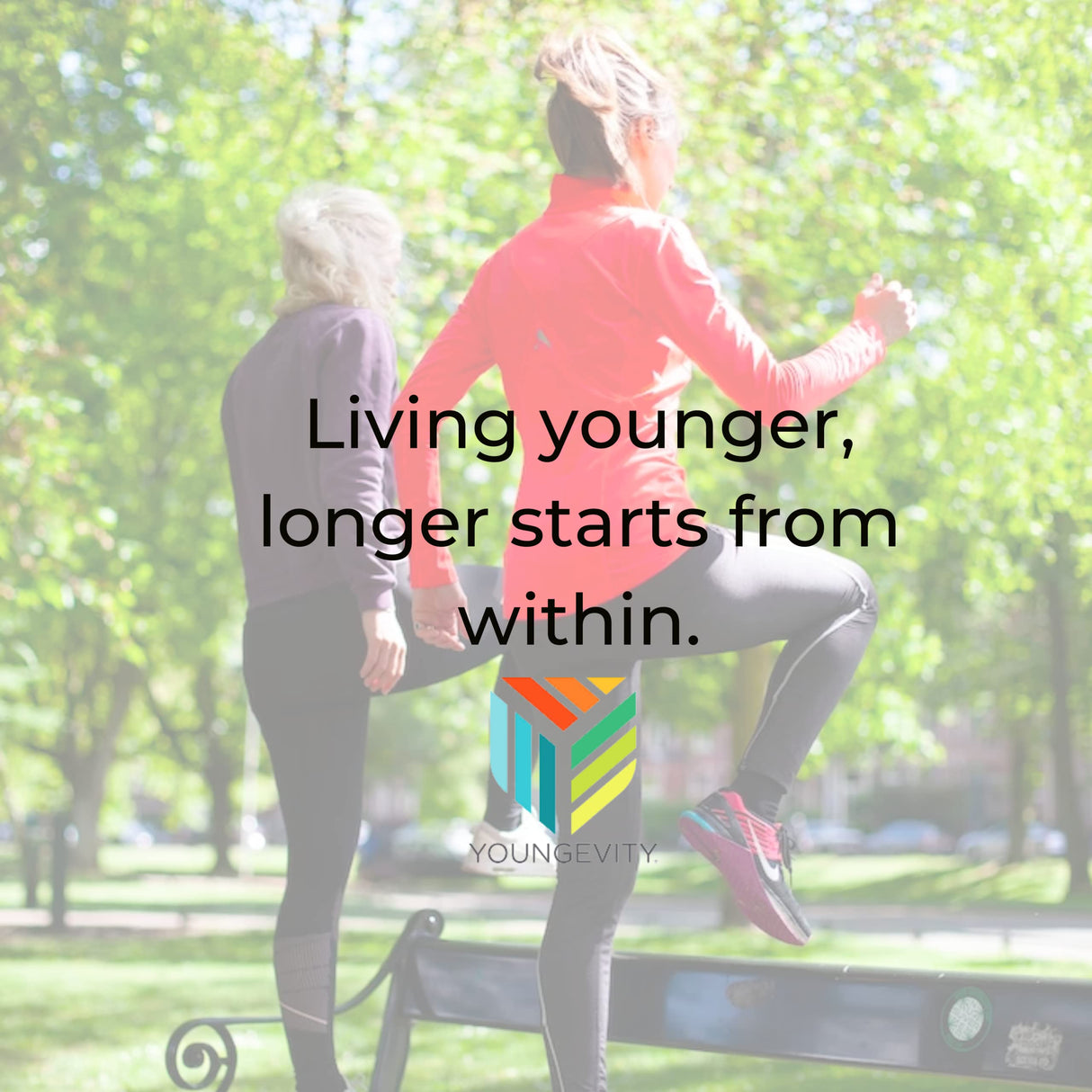 Youngevity Beyond Tangy Tangerine 2.0 Citrus Peach Ultimate Multi-Vitamin & Mineral Complex - Made with Natural & Whole Foods | 8,000 ORAC | 2 Canisters