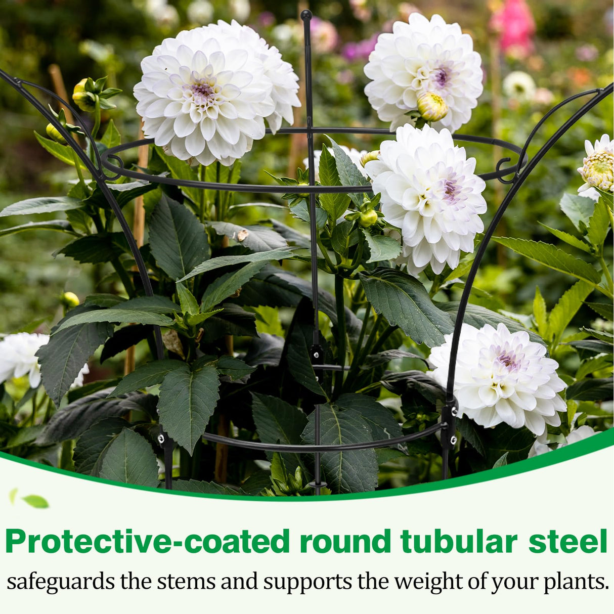 HEYTIMI 4 Pack Peony Cages and Supports Cages 13" D x 22.8" H Heavy Duty Metal Support Frame for Peonies & Roses Natural Bouquet Shape Garden Stakes for Outdoor Plants Flowers Ornamental (Black)
