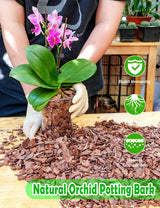 TOYPOPOR Orchid Potting Mix, (6 Quarts)Orchid Bark With Perlite, Potting Soil Medium for Plant Indoor, Pine Bark Wood Chips for Houseplant Fast Drainage, Water Retention, Air Flow and Root Ventilation