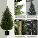 Vitalismo 3FT Artificial Cedar Trees Set of 2 for Outdoor Front Porch
