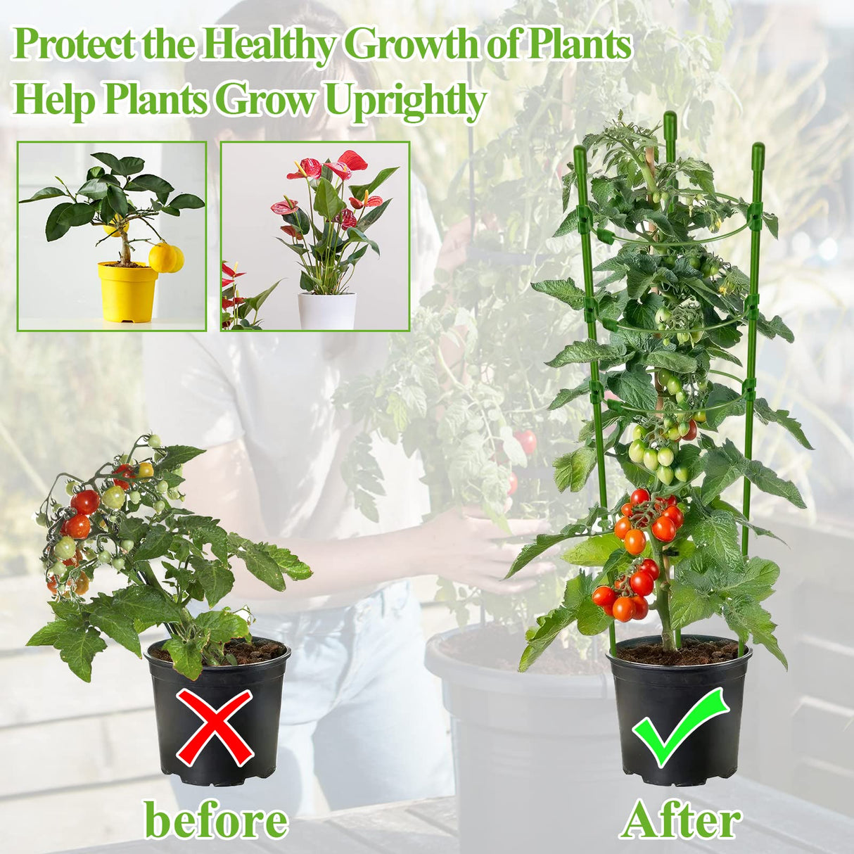 Legigo 6 Pack 30 Inch Plant Support Cages Tomato Cage for Garden- Plant Cages Adjustable Rings, Tomato Plant Support Stakes Trellis for Pots, Peppers, Cucumbers and Flowers with 10 Plant Clips