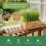 HiHOYA Cat Grass Kit for Indoor Cats - 5 Packets of Seeds, Cat Grass Planter Wooden Growing Kit, 5-Time Plant Starter Pack with 6 Soil Discs, Trimming Scissors, Spray Bottle, and Mini Tools
