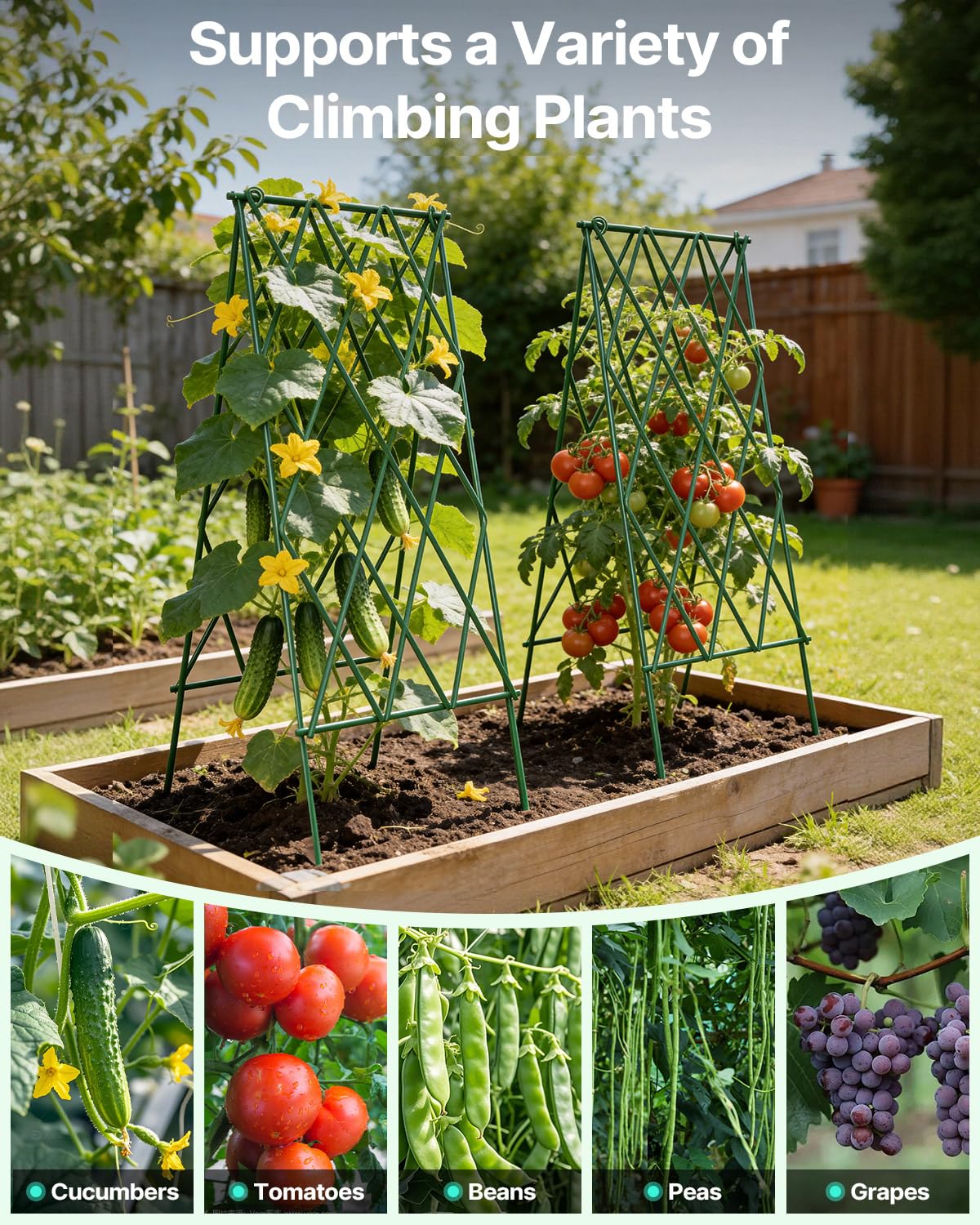 Suteck Cucumber Trellis 39.2" 2 Pack A-Frame, Foldable Metal