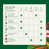 Floradix by Salus Iron & Herbs - Liquid Herbal Supplement for Energy Support* - Iron Supplement with Vitamin C & B Complex Vitamins - for Men & Women - 23.7 Fl Oz