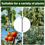 Yohsnor 2PCS 50" Metal Dragon Fruit Trellis,Durable Vertical Garden Support