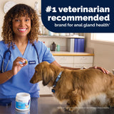 Vetnique Glandex for Dogs Anal Gland Chews 60ct Pumpkin + Digestive Enzymes