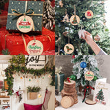 100 Pack Nature Wood Slices for Crafts,2.4-2.8In Unfinished Natural Wood Rounds.Wood Circles Predrilled with Hole and 20m Rope for Wooden Craft Supplies,Painting,Christmas Ornaments,DIY Gifts