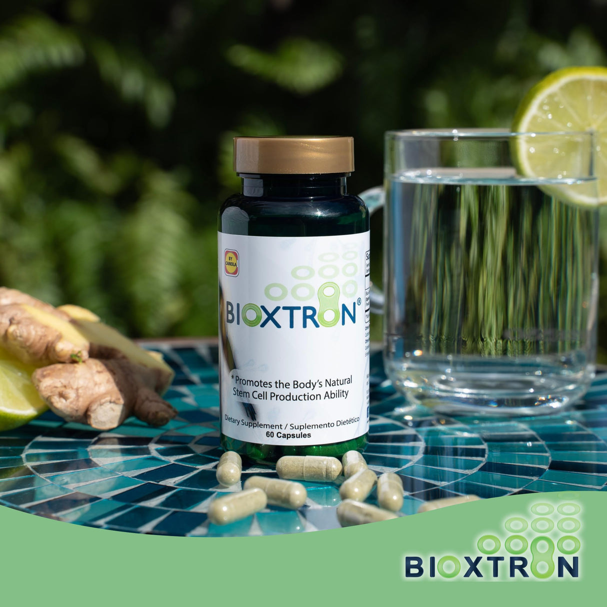 Bioxtron Natural Stem Cell Supplement Capsules - Blue Green Algae and Spirulina - Supports Energy, Joint, Muscle, Immune Health - Stem Cell Regenerator - 60 Capsules (30 Servings)