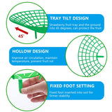 codree 10 Pack Strawberry Plant Supports, Strawberry Plant Stand with 3 Sturdy Legs, Strawberry Growing Racks, Strawberry Growing Frame, Protecting Strawberry Plants from Mold, Rot and Dirt, Green