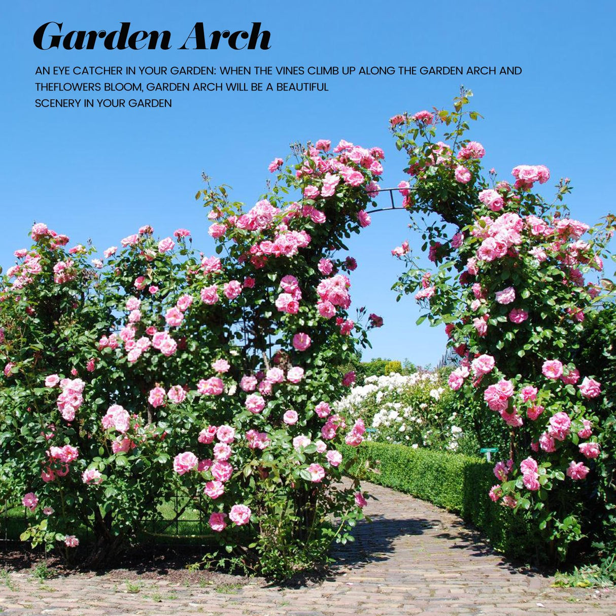 100%Metal Sturdy Garden Arch Trellis for Climbing Plants Outdoor 4.6*7.8Ft