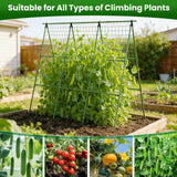 2 Pack Cucumber Trellis 48" L x 48" H, A-Frame Garden Trellis for Climbing Plants Outdoor, Vegetable Trellis for Raised Bed, Support for Squash Pea Zucchini Grape Flowers Tomato