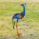 dreamskip Metal Peacock Garden Decor Outdoor Statue, Peacock Yard Art Sculptures Outside Decoration for Home Patio Lawn Backyard, Gift for Women Moms Grandma