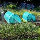 Garden Barrier Netting, Plant Covers 10x33ft Extra Fine Mesh 30% Green Sunblock Shade Cloth Mesh Protection Netting for Vegetable Fruits Flowers Crops Row Cover Raised Bed Screen Against Birds Animal