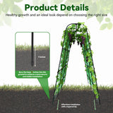 Trellume Cucumber Trellis - 62.4"*50" Cucumber Trellis for Raised Bed with Plastic-Coated Steel Pipe, U-Shape Garden Trellis for Climbing Plants, Garden Trellis for Cucumbers, Beans(Black)