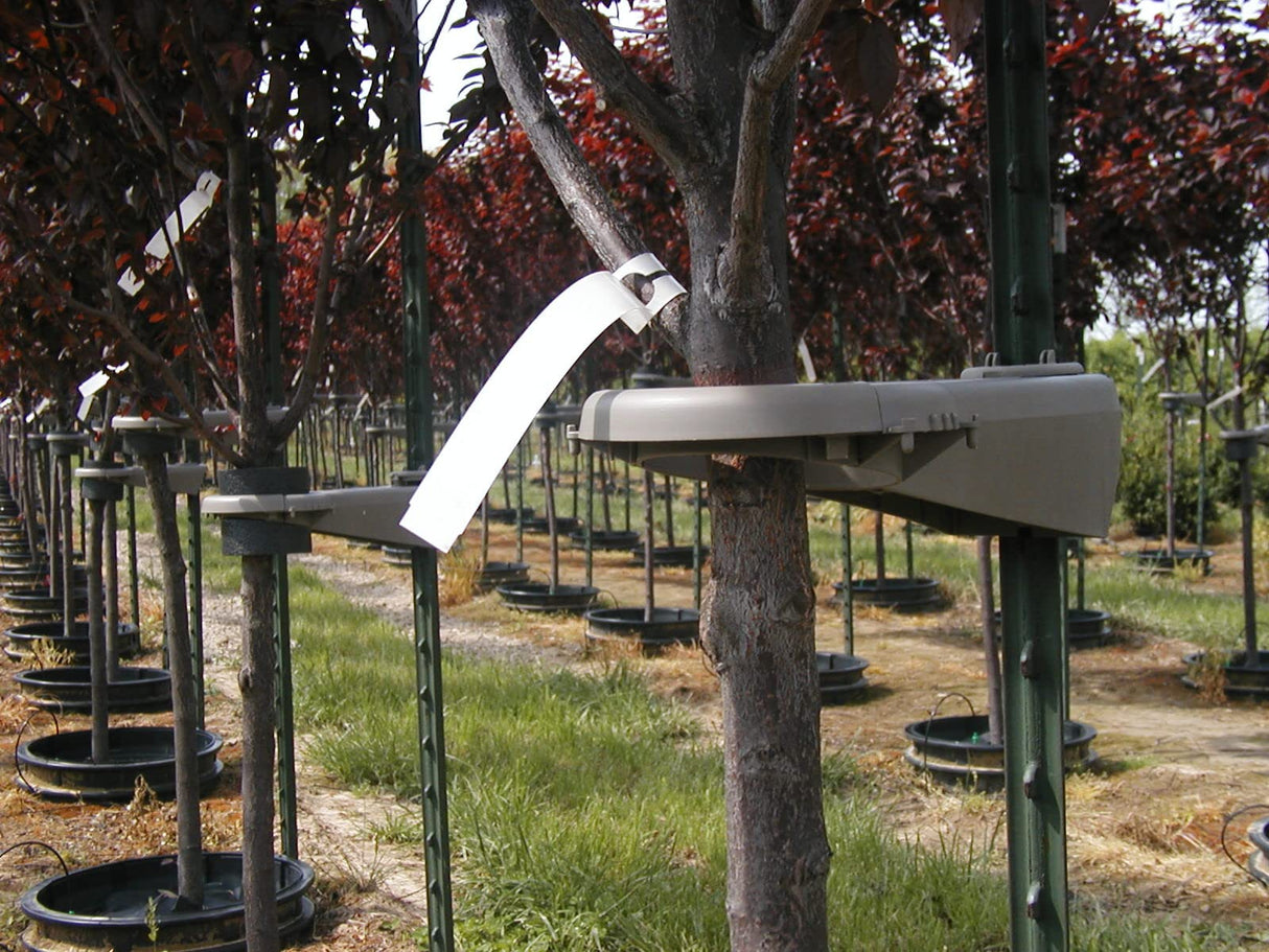 Tree-Mate-O Tree Support