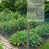 RIFNY Bird Netting for Garden Protection, 13 x 40FT Mesh Garden Netting