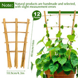 Bamboo Trellis, 12pack 16 Inch Small Plant Wood Bamboo Trellis for Climbing Plants Indoor Potted Plants