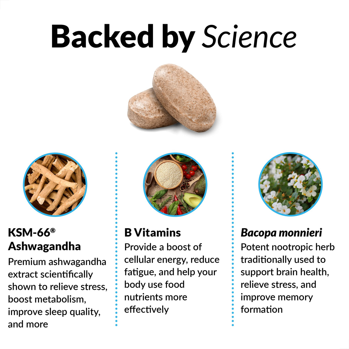 FORCE FACTOR Amazing Ashwa for Stress Relief, Memory, Focus, and Immune Support Health, Ashwagandha Supplement with KSM-66 Ashwagandha for Stress, Vitamins, Minerals, and Antioxidants, 360 Tablets