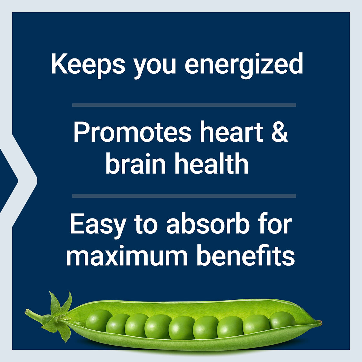 Life Extension Bioactive Complete B-Complex, Heart, Brain and Nerve Support, Healthy Energy, Metabolism, Complete B Complex, 60 Vegetarian Capsules (Pack of 2)