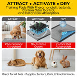 Glad for Pets, Puppy Pads - Activated Carbon, Dog Pee Pads, 100 Count